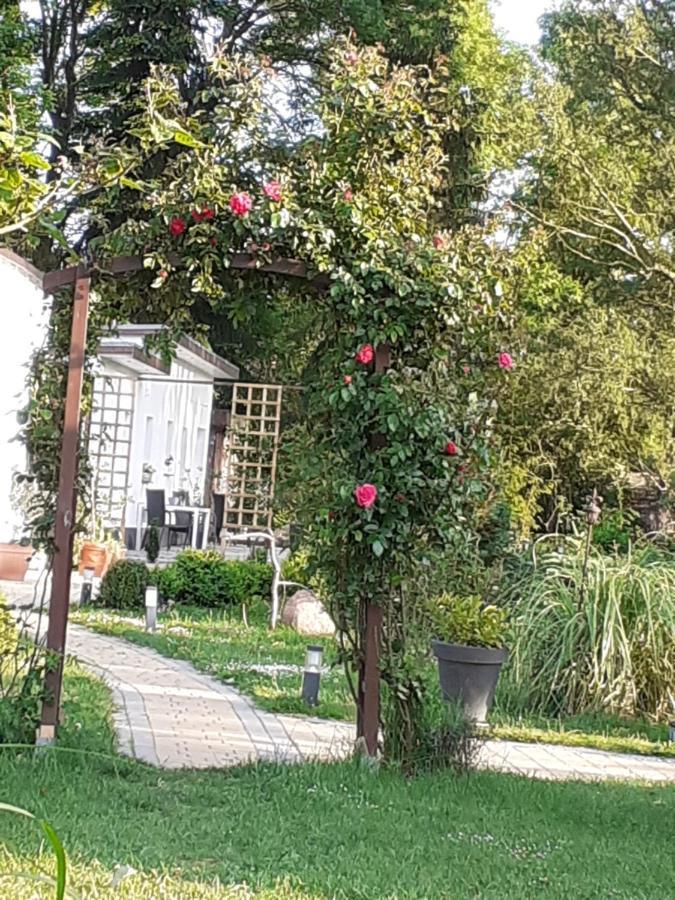 Ferienhaus Ciara Apartment Splietsdorf ภายนอก รูปภาพ